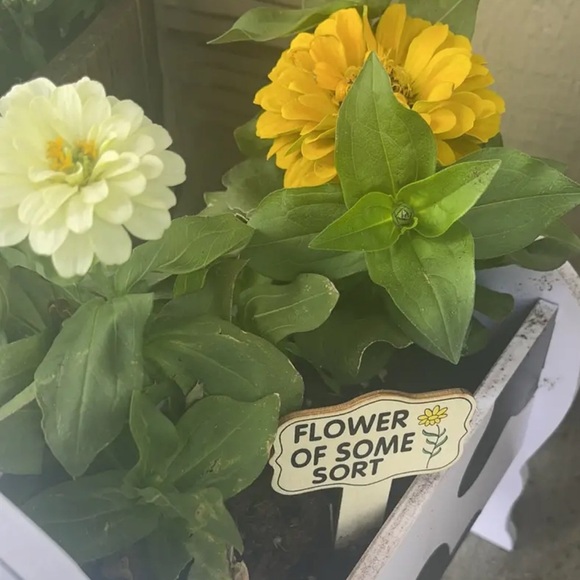 Surprise Pack: 3 Hilarious Garden Stakes for Plant Labels- NWT - Picture 8 of 13